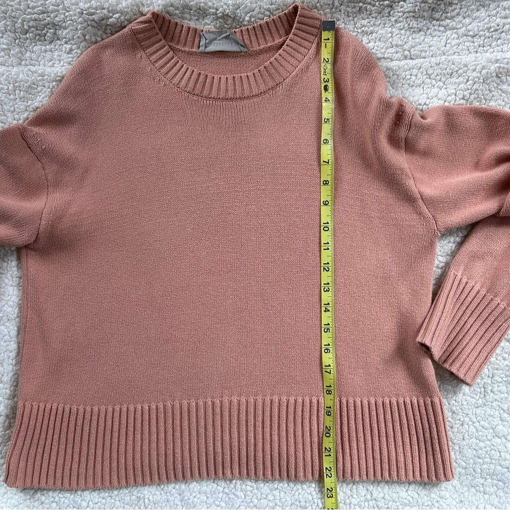 Everlane Cotton Boxy Pink Crewneck Sweater XS